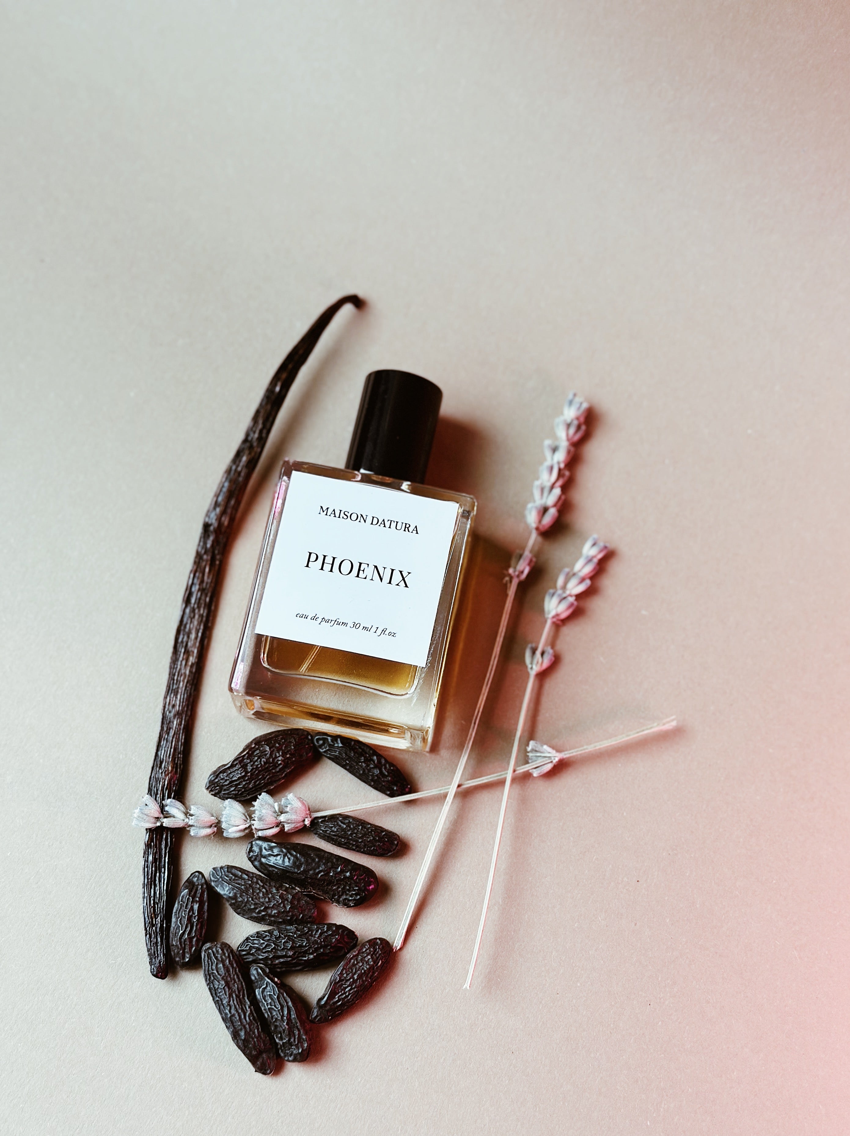 PHOENIX – Maison Datura