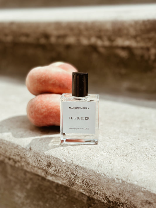LE FIGUIER