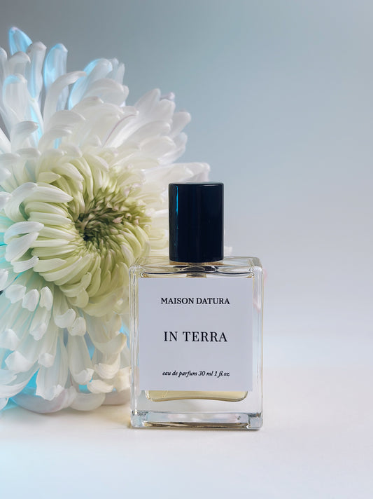 IN TERRA
